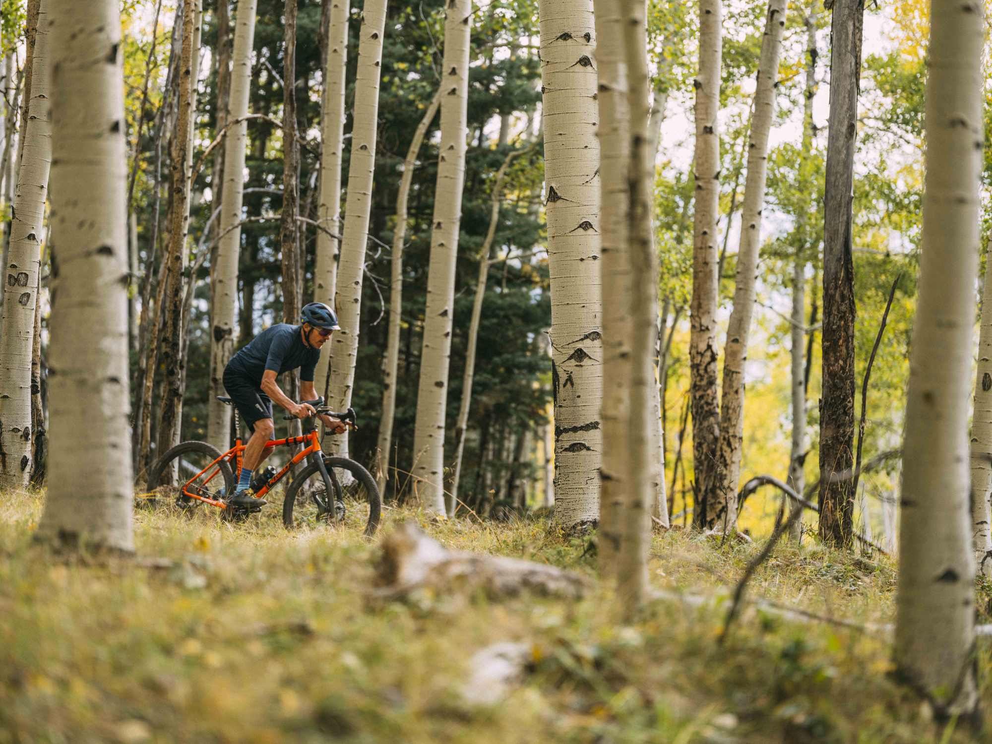 Alex Morgan ajamassa gravel-pyörällään puiden lomitse – The Path Less Paved