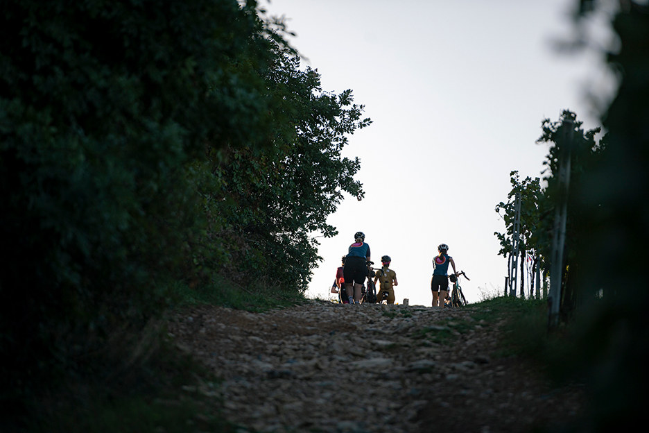 Landsväg vs Gravel - Shimano förklarar