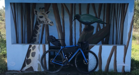 Diário Da Travessia Beira Litoral