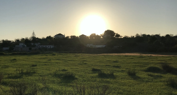 Diário Da Travessia Beira Litoral