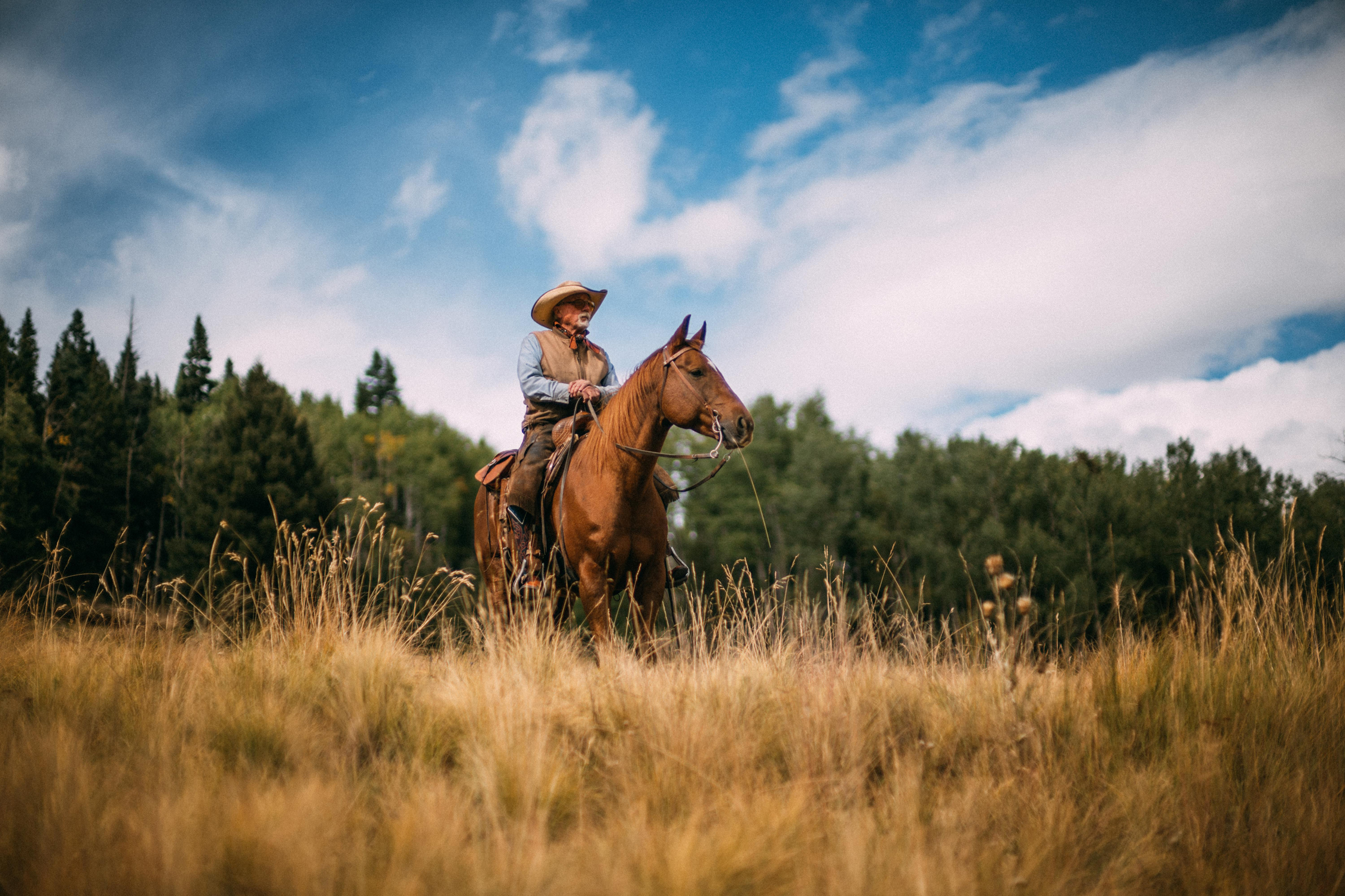 Paardrijden in New Mexico 