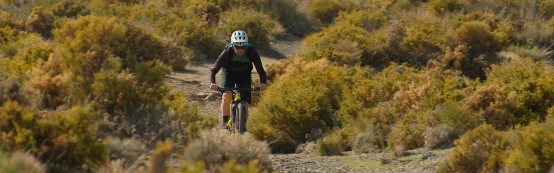 La conversion cycliste de Marco Anileiro
