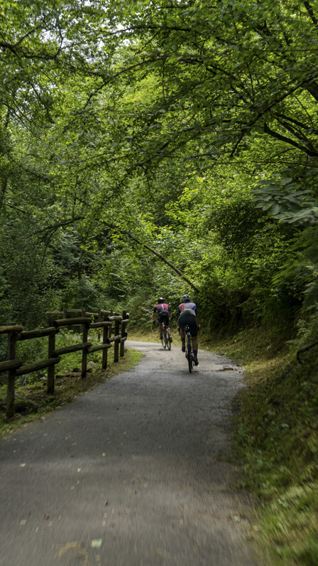 REBOUND: Rivivere una straordinaria pedalata