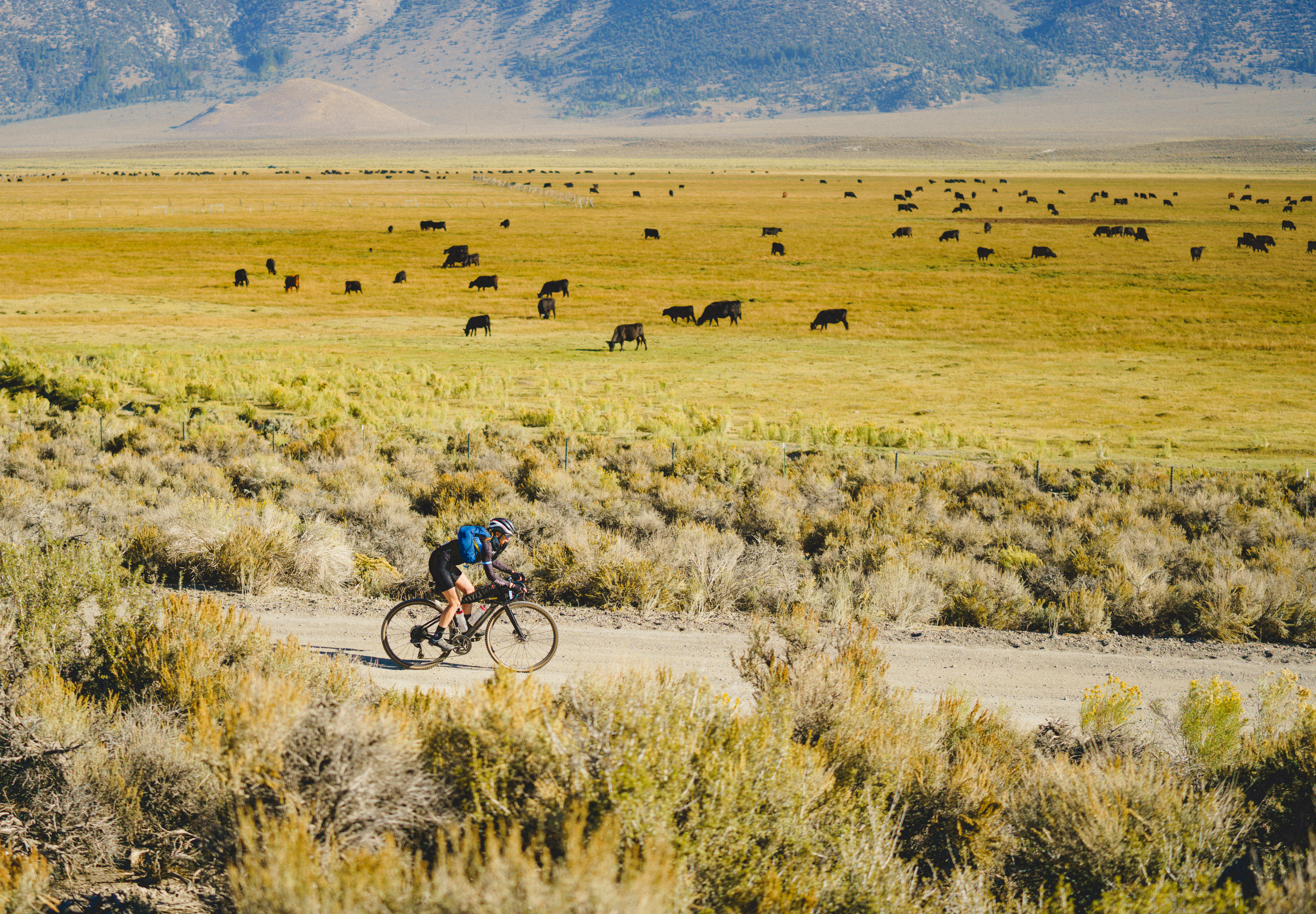 Mammoth Tuff Gravel Bike Race